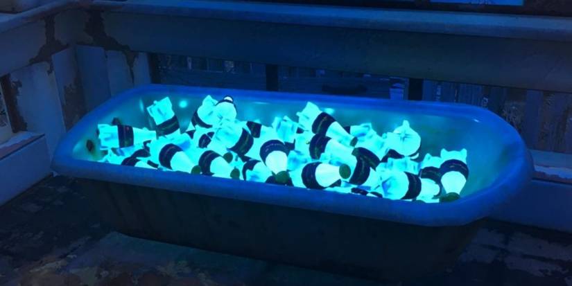 Fallout Nuka Cola Quantum