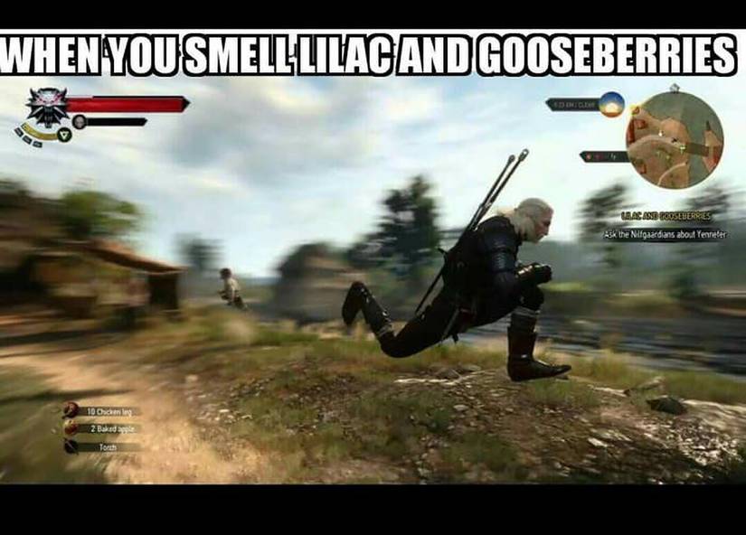 Geralt Yennefer meme