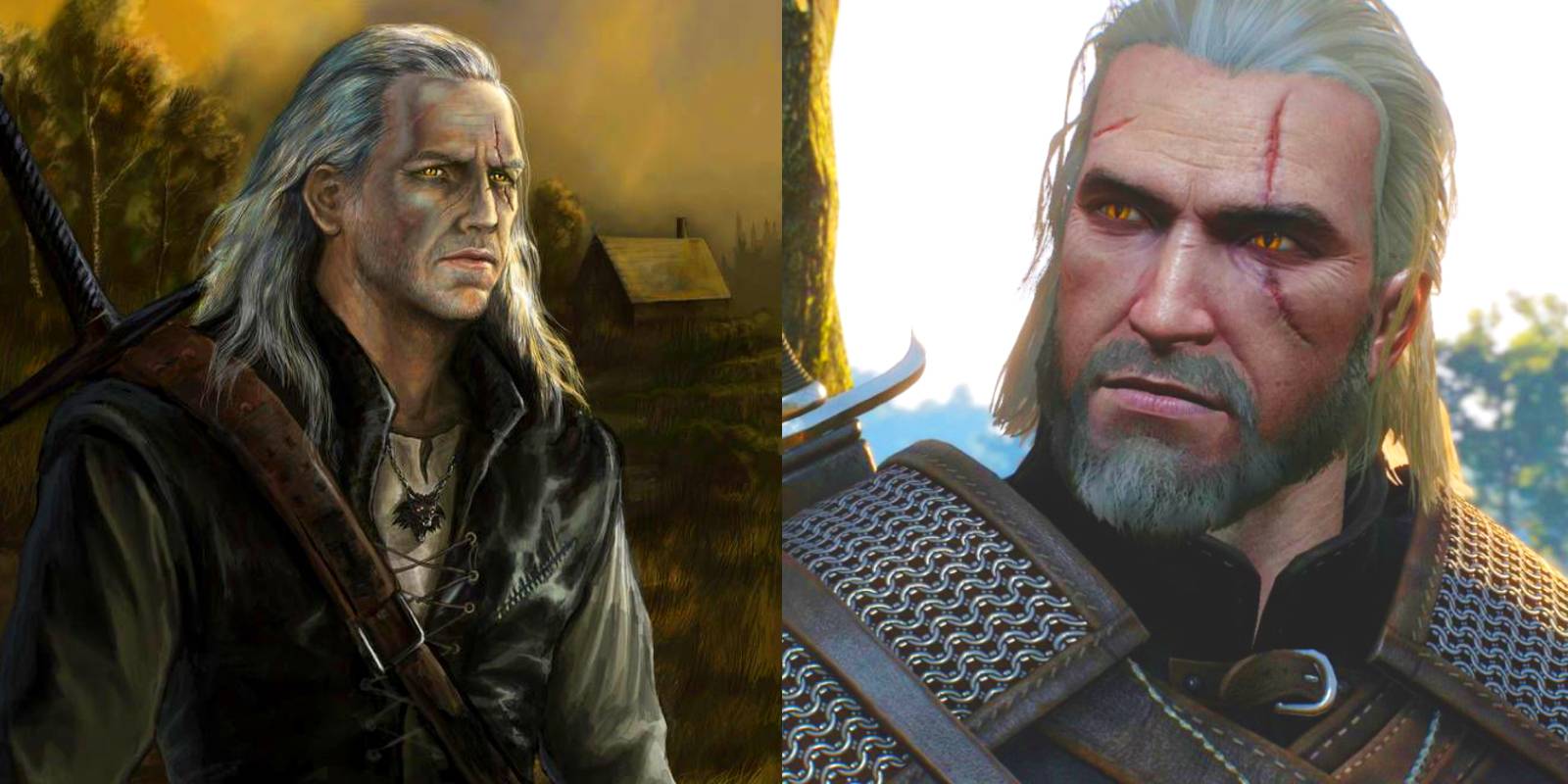 Geralt book vs game