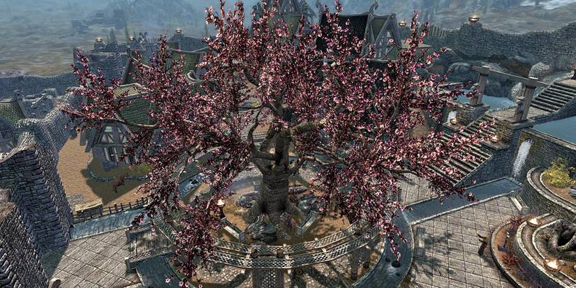 Healed Gildergreen in Whiterun