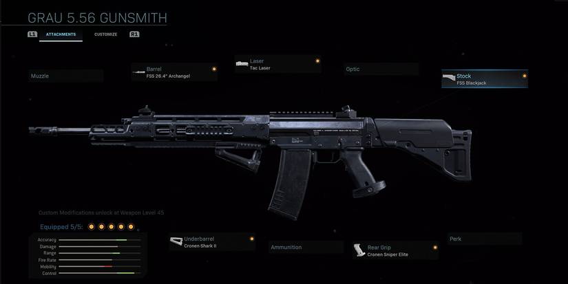 Grau 556 - 10 - COD Warzone Pro Weapons