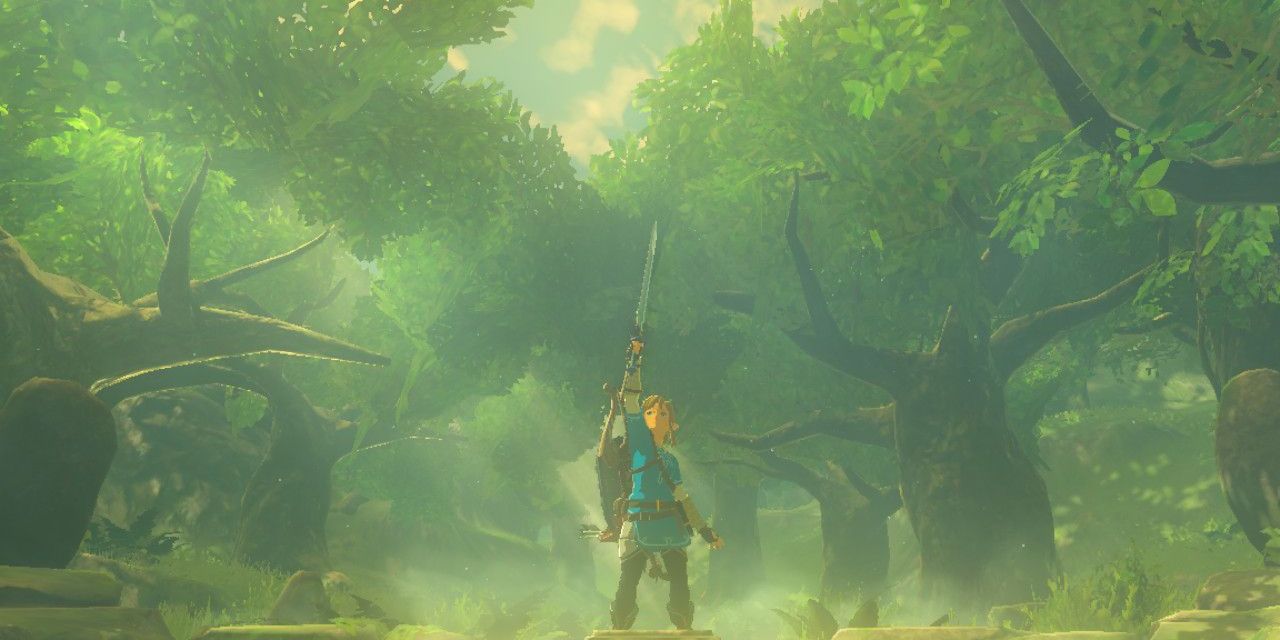 The Legend Of Zelda Breath Of The Wild Link Pulls Out Master Sword