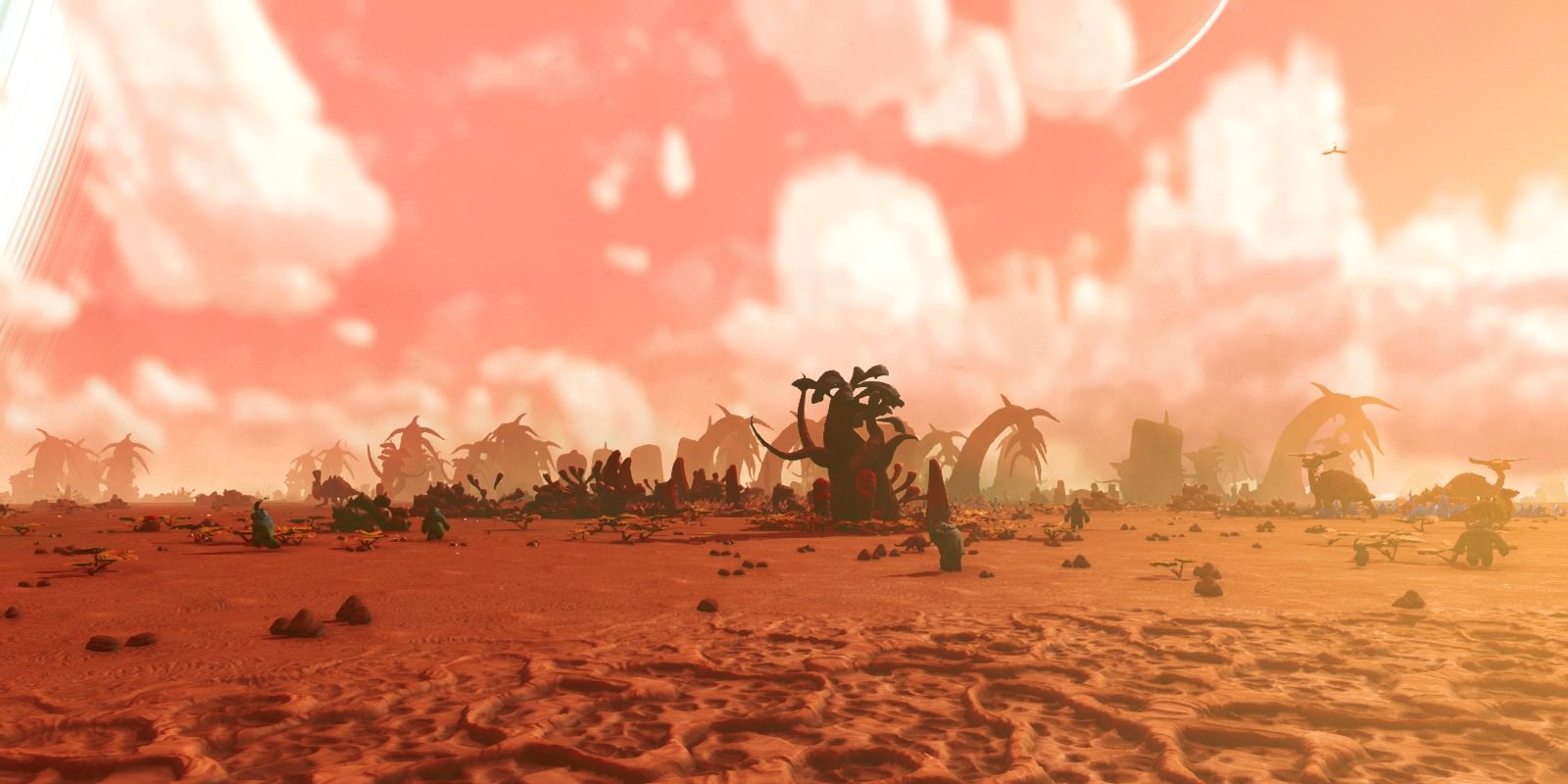 Irradiated planets surface