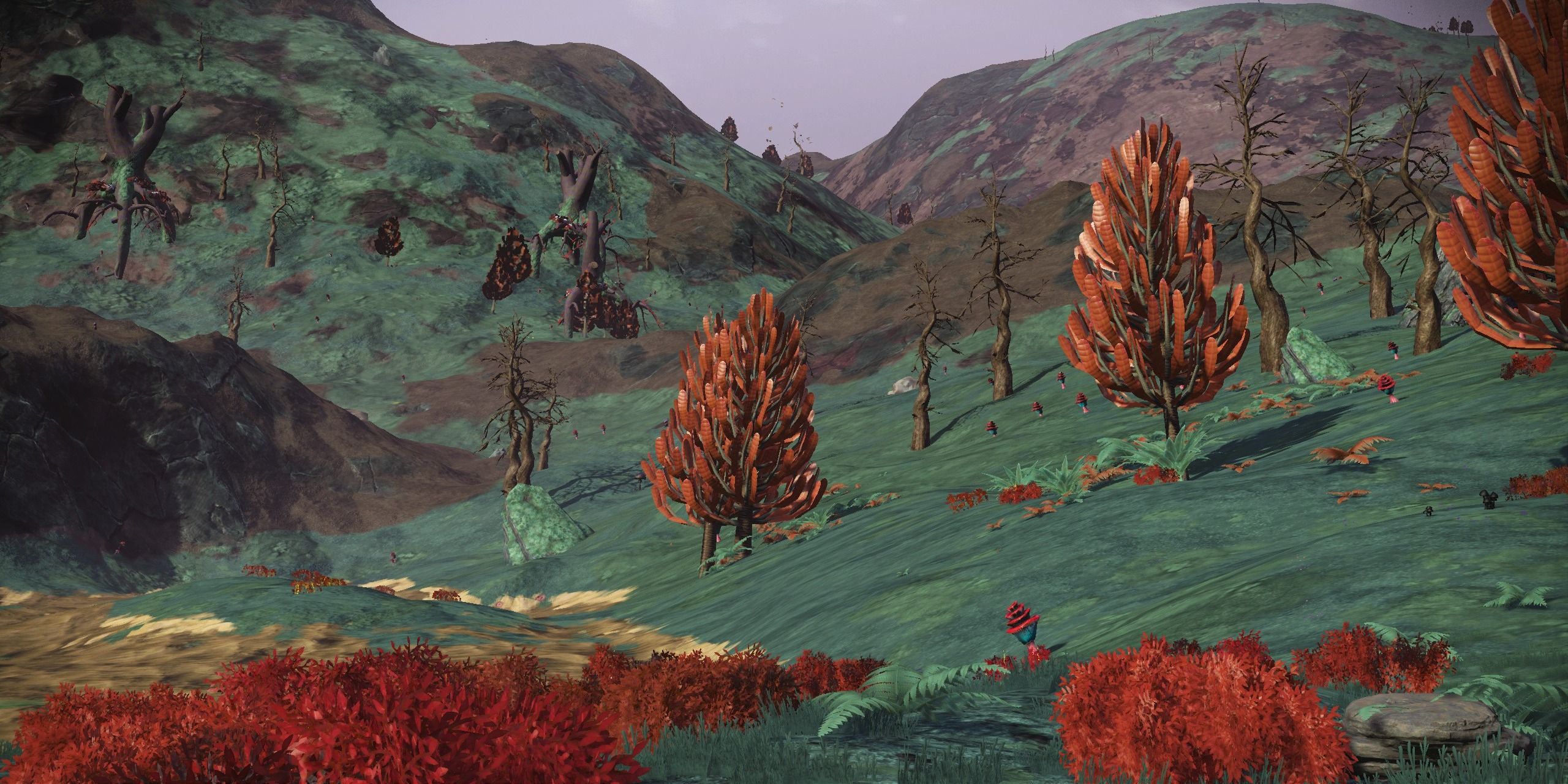 Marsh looking planet with trees and mountains