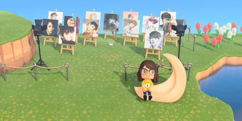 Novelty and interest groups Animal Crossing New Horizons Update