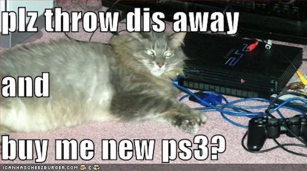 PS3 cat meme