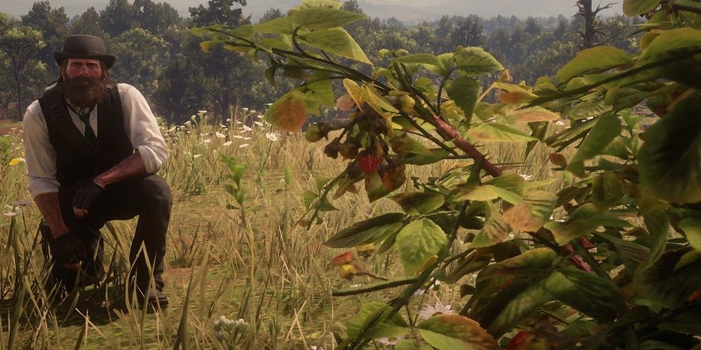Игрок смотрит на травы в Red Dead Online