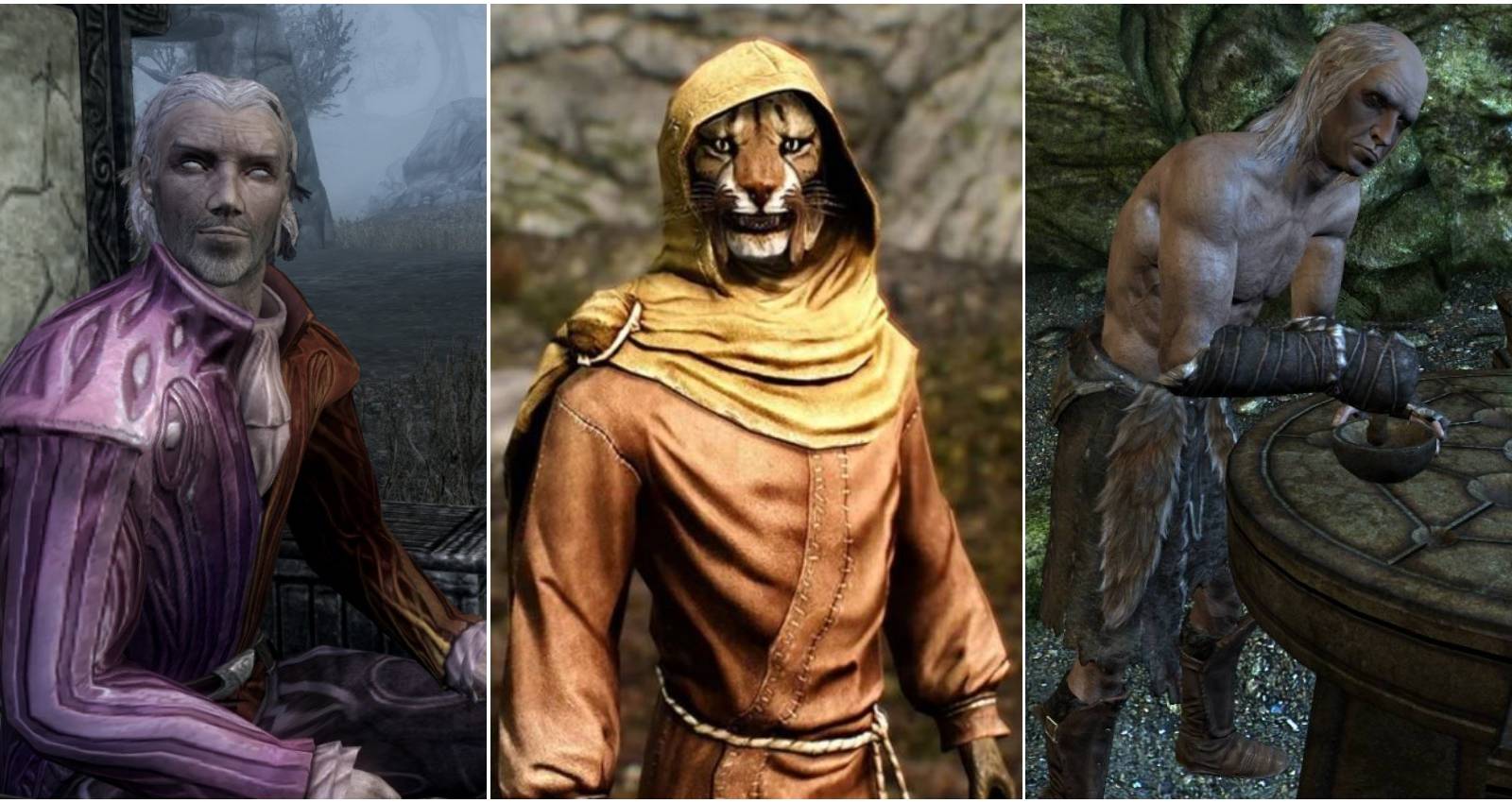 Skyrim Strangest and Funniest NPCs
