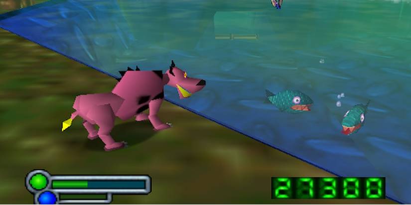 Space Station Silicon Valley Dog Fish And Butterfly