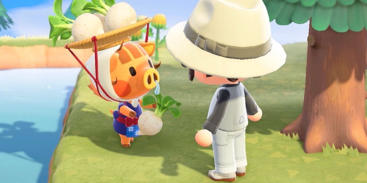 The Turnip Exchange Animal Crossing New Horizons