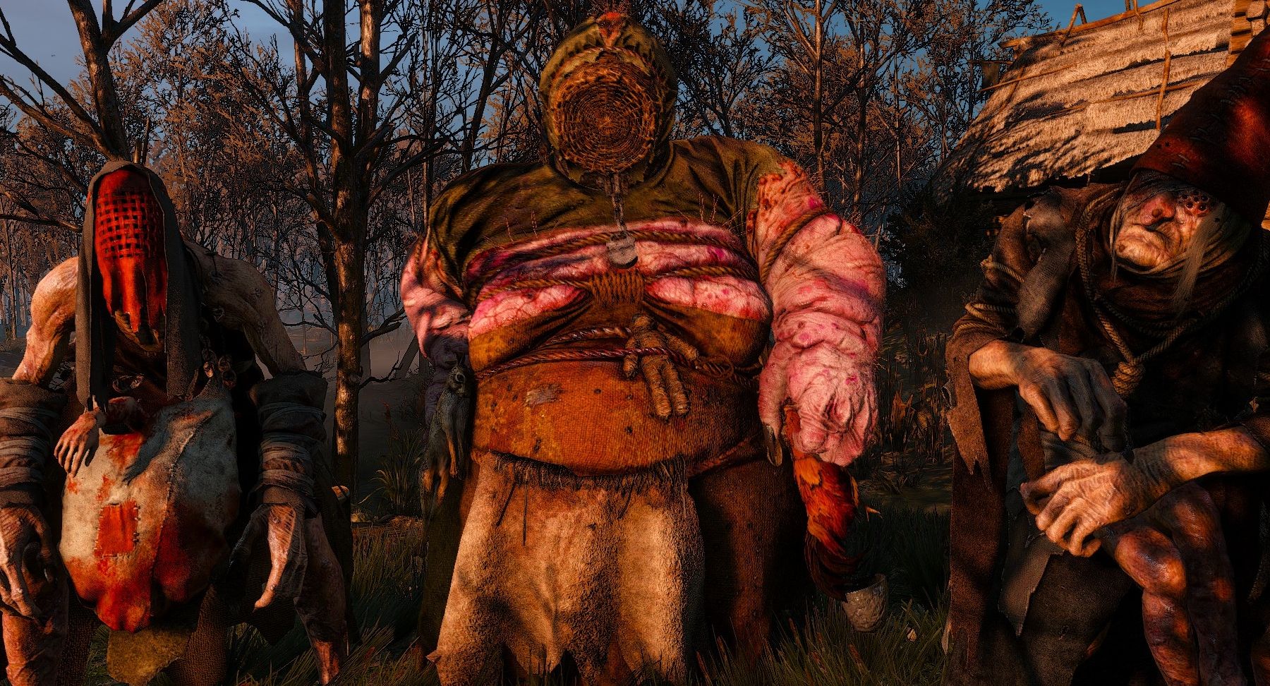 three crones in the witcher 3
