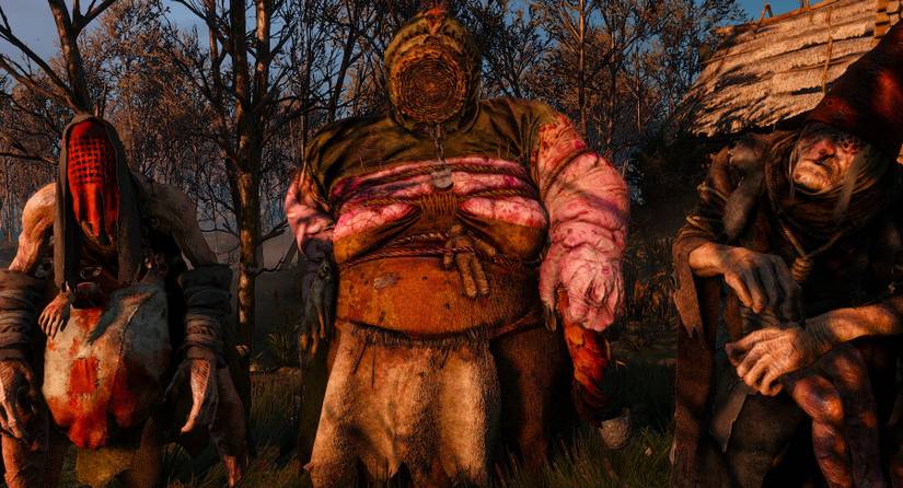 three crones in the witcher 3