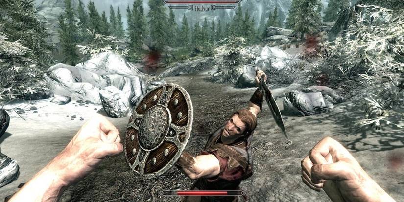 Skyrim VR first person punching shield-wielding foe