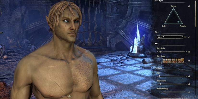 Elder Scrolls Online Scars Burns