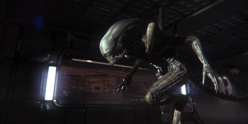 xenomorph close up