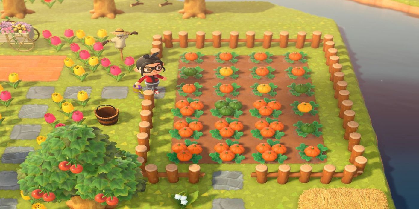 animal-crossing-pumpkin-patch