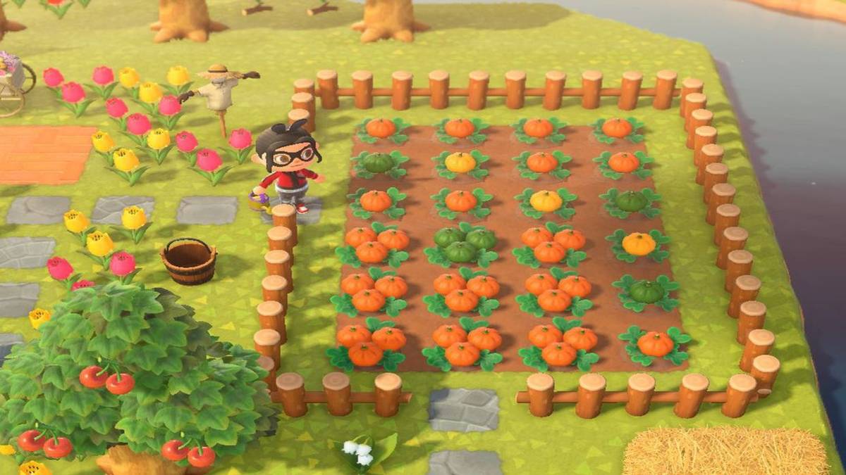 animal-crossing-pumpkin-patch