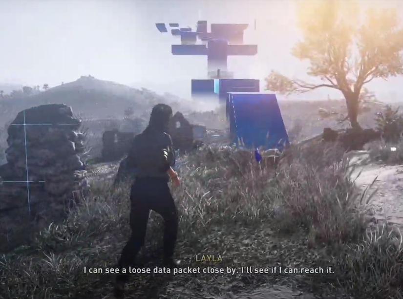 layla leaks animus anomaly