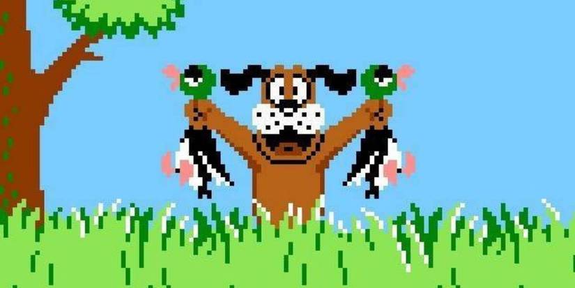Dog carrying ducks in duck hunt