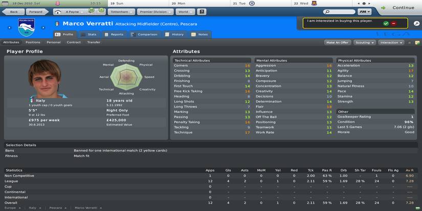 Football Manager 10 player overview