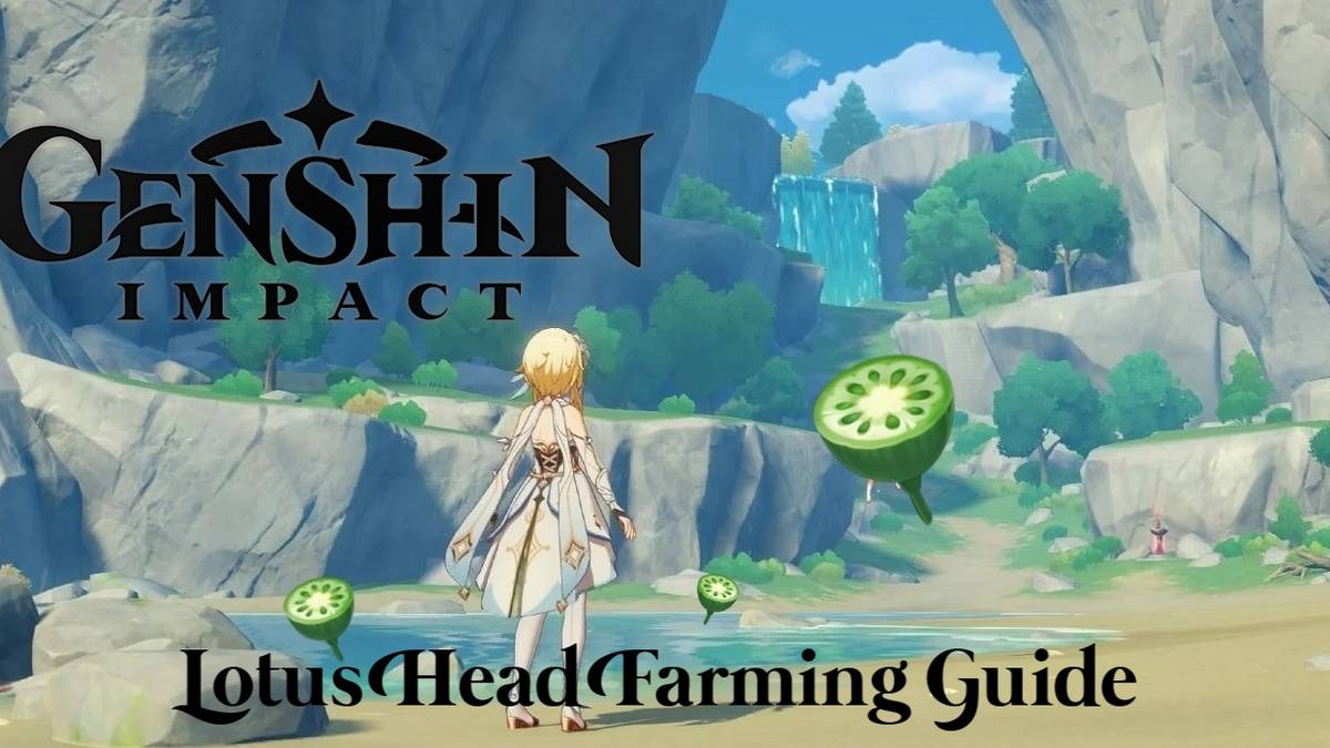 genshin impact lotus head farming guide