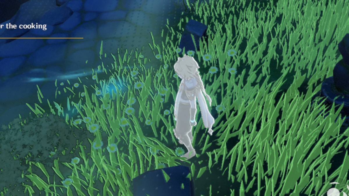 missing seelie traces