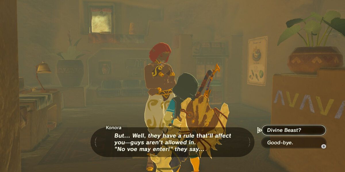 A Gerudo speaking to Link