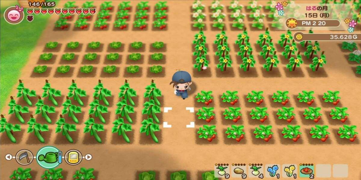 Harvest Moon GBA field full of crops