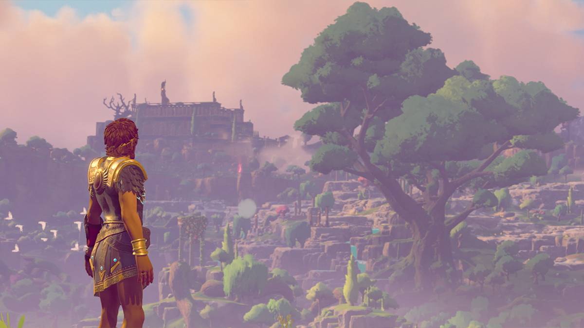 Fenyx looking out at a tree