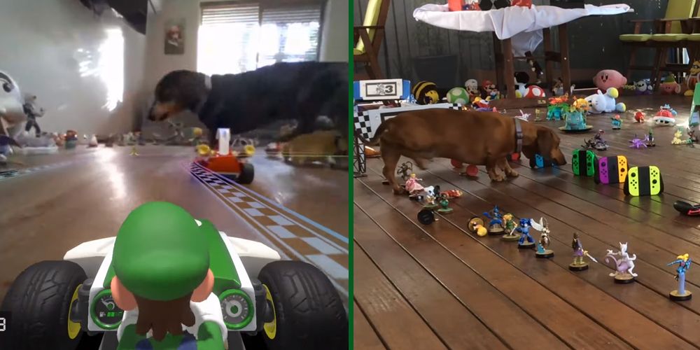 Mario Kart Live: Home Circuit