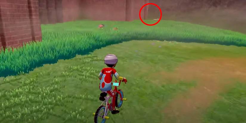 pokemon sword and shield water stone