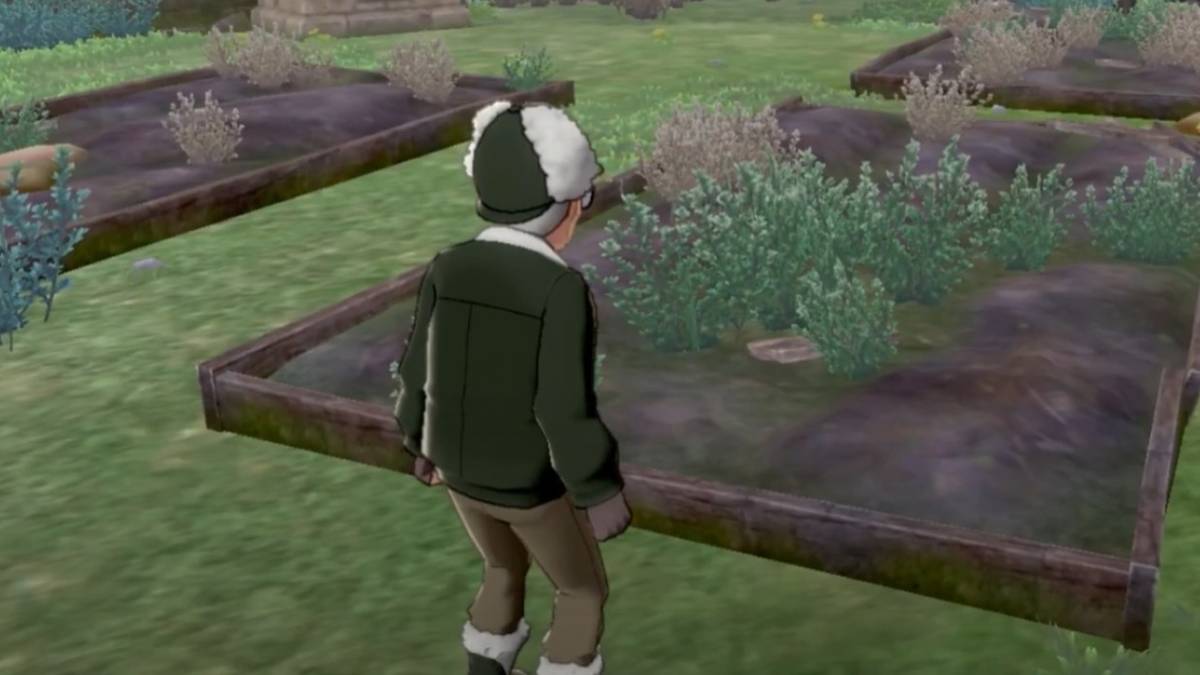 Pokemon Sword and Shield Crown Tundra Mayor of Freezington