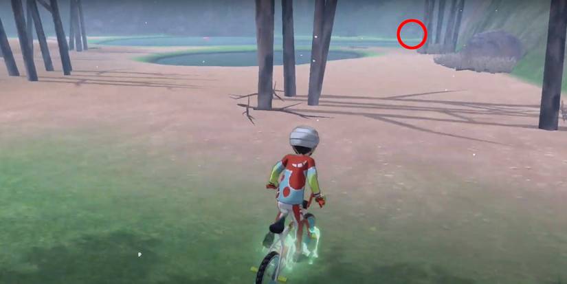 pokemon sword and shield how to evolve sneasel