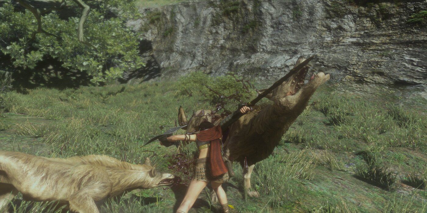 Wolves In Dragons dogma