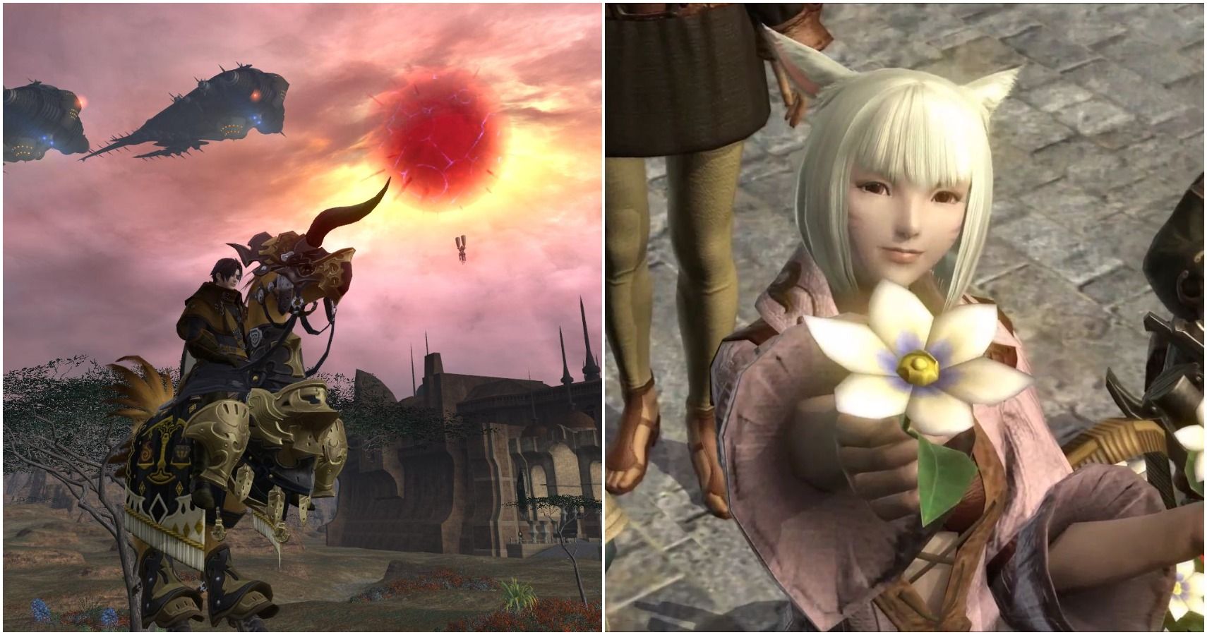 split image of dalamund and miqote with flower
