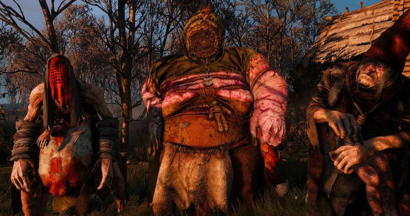 witcher 3 crones