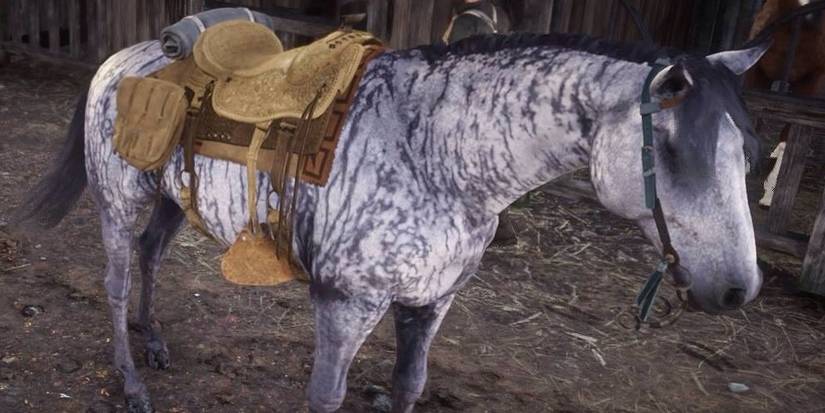 Brindle Thoroughbred Horse Red Dead Online 