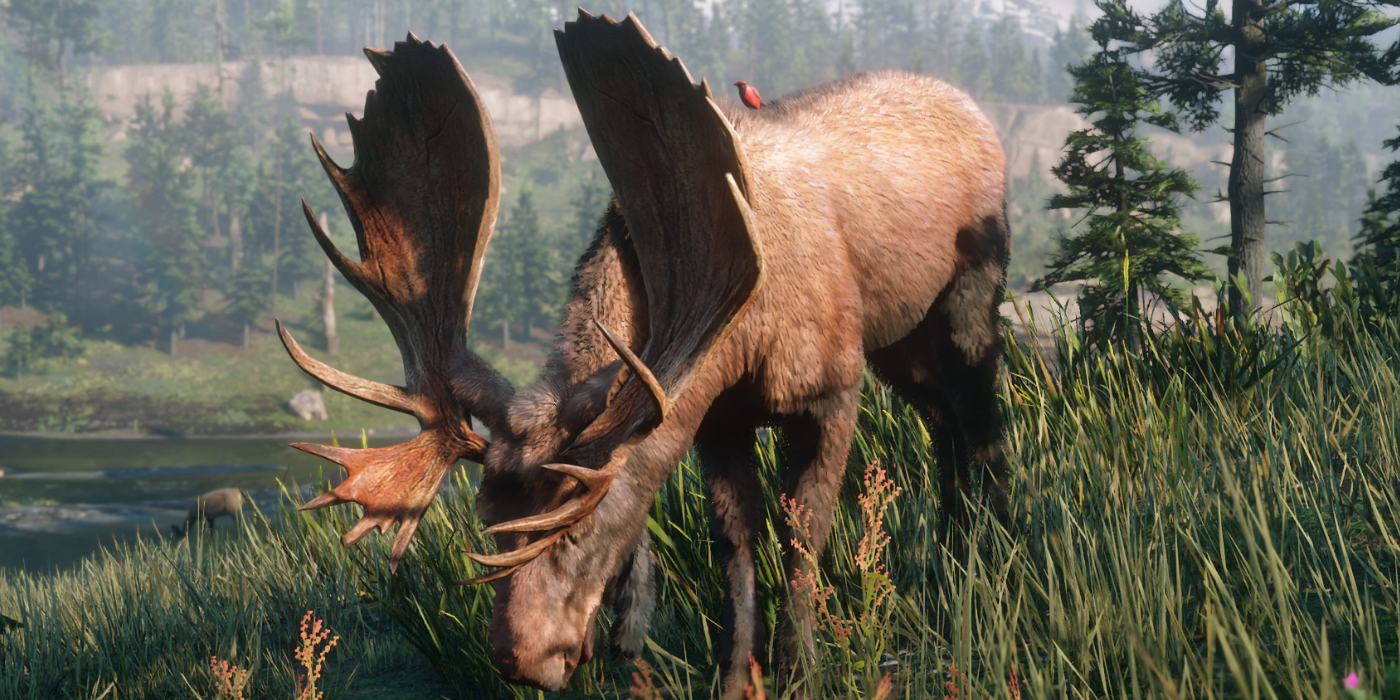 moose in Red Dead Online