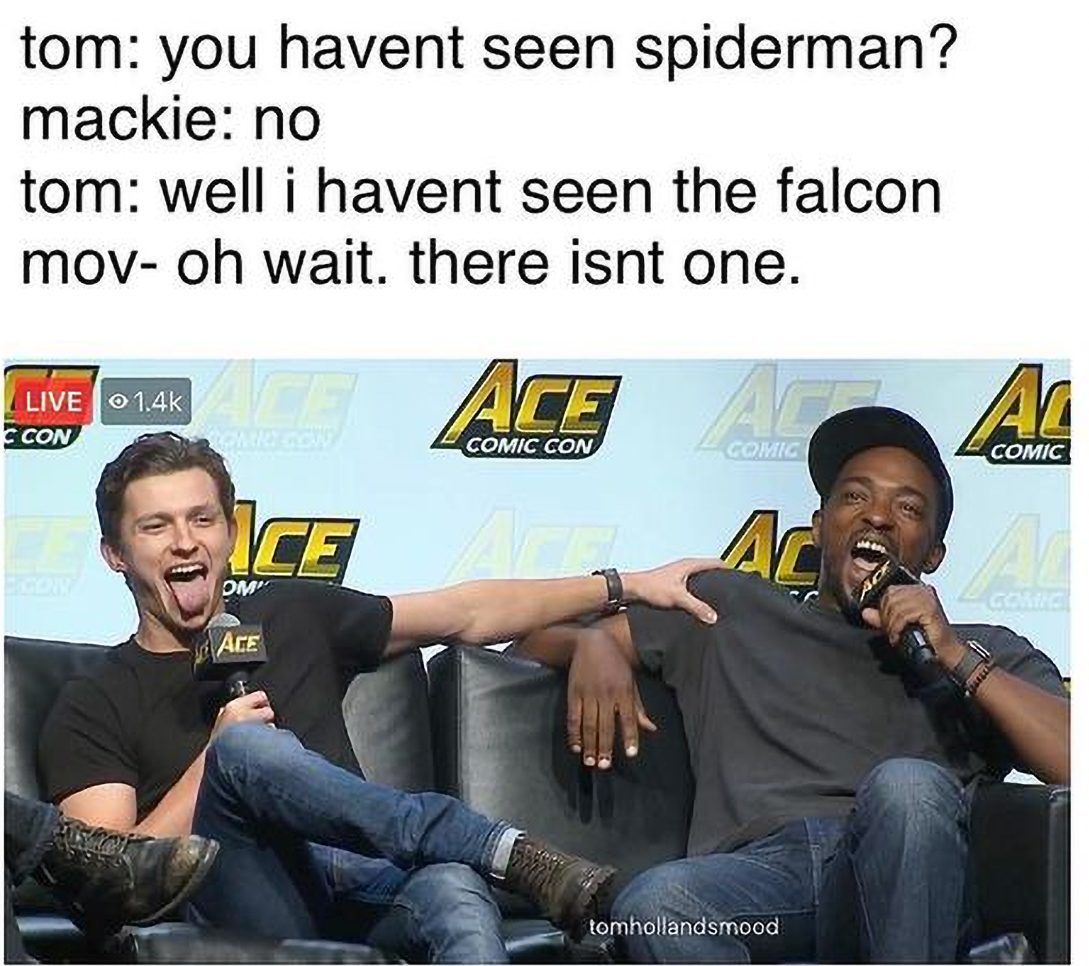 10 Hysterical Tom Holland Spider-Man Memes That Are Just ...