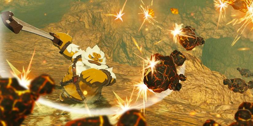 Age of Calamity Daruk Fighting