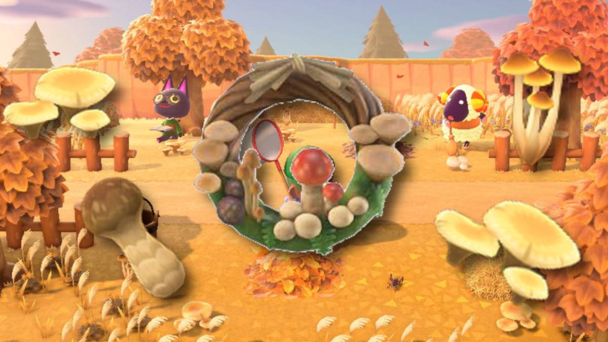 How to get as many mushrooms as possible in Animal Crossing New Horizons November