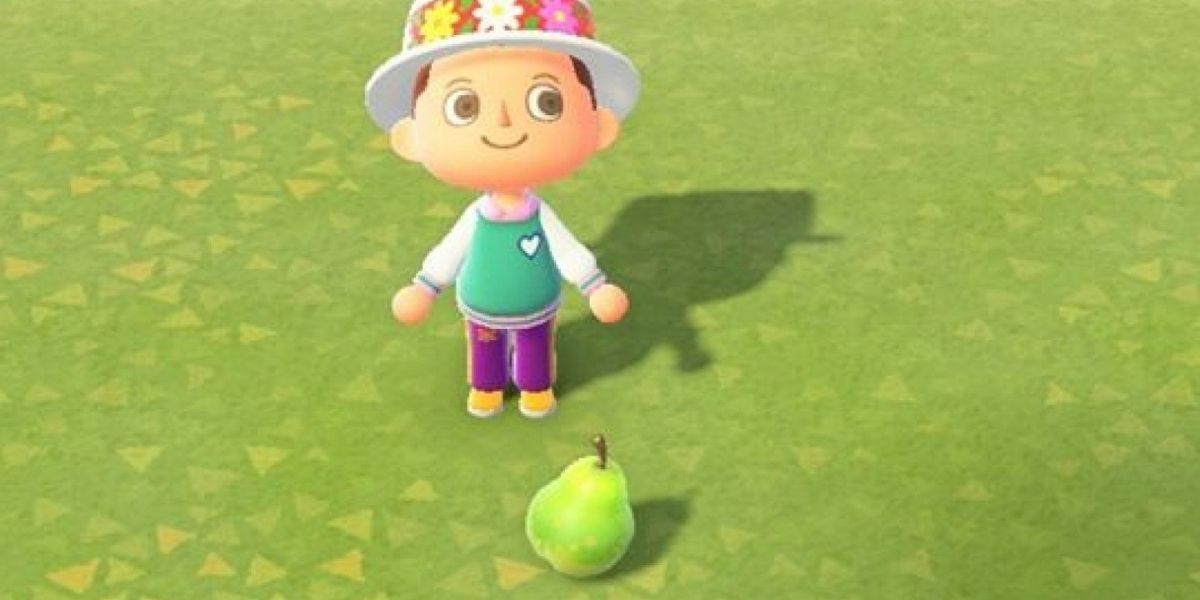 Animal Crossing New Horizons 10 Items Nintendo Should Bring Back