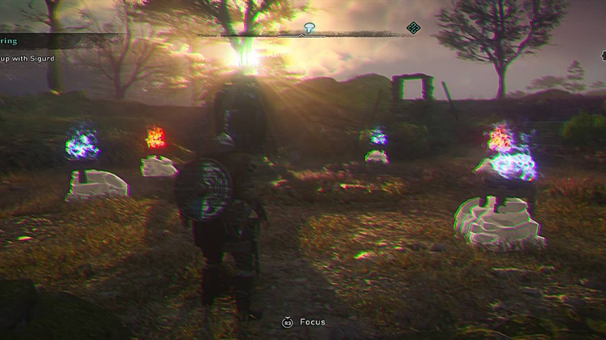 Assassins Creed: Valhalla Fly Agaric Puzzle