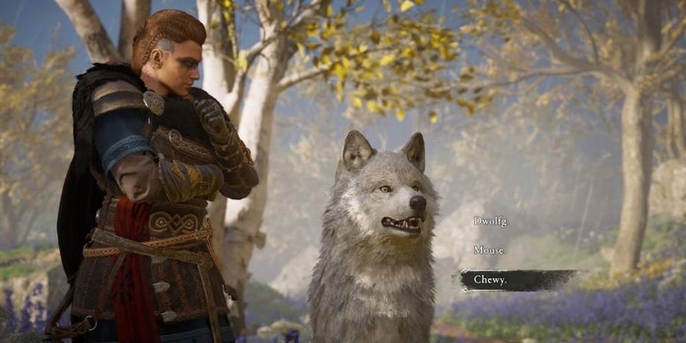 Assassins Creed Valhalla Naming The Wolf Companion