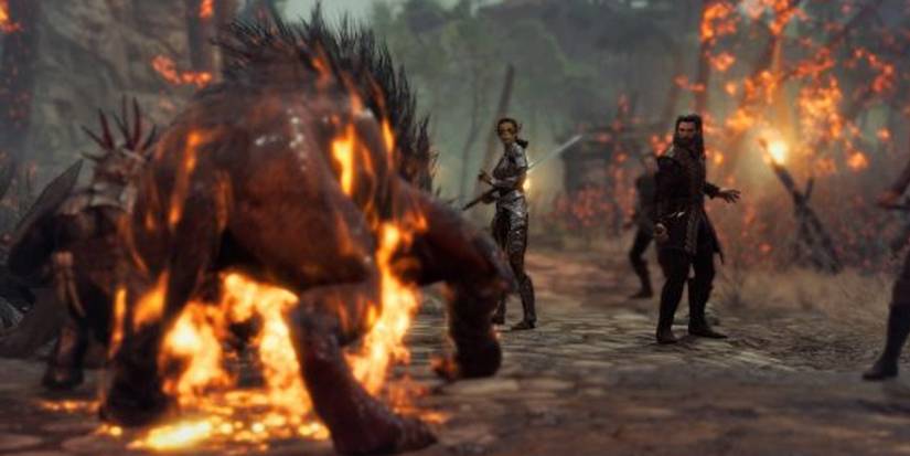 Baldurs Gate 3 Party about to fight monsters