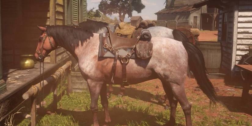 Bay Roan Morgan Red Dead Online