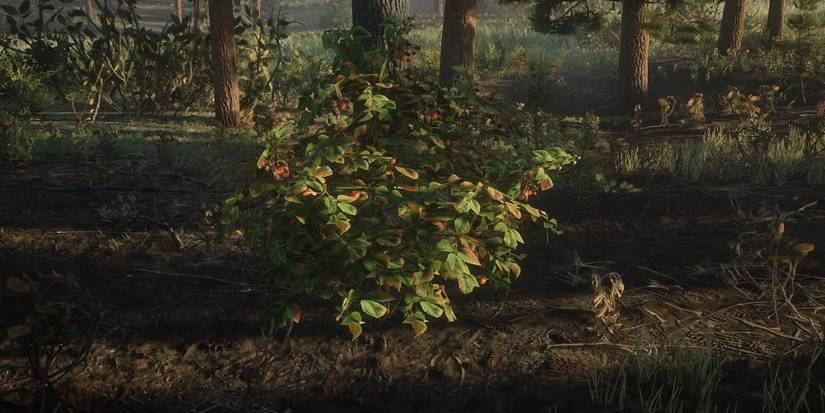 Black Berry Bush Red Dead Online
