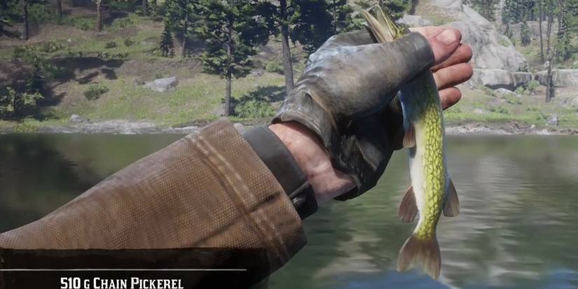 player holding a Chain Pickerel Red Dead Redemption