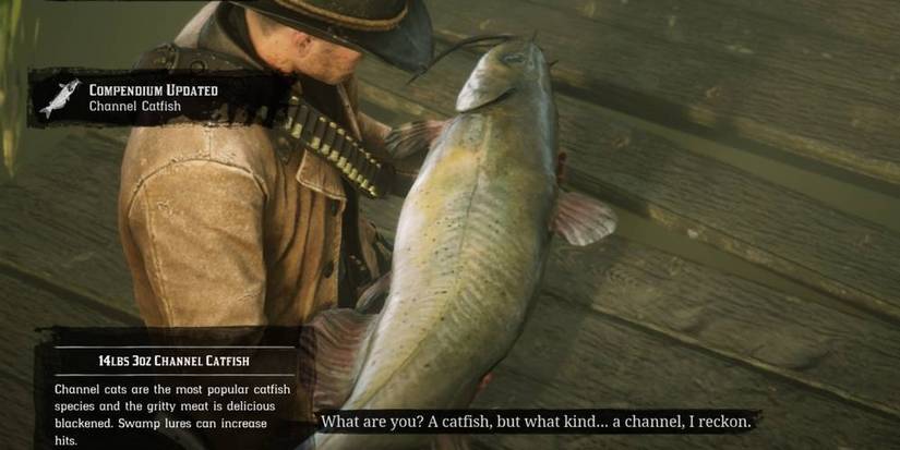 Autur Morgan holding a Channel Catfish in Red Dead Redemption 2