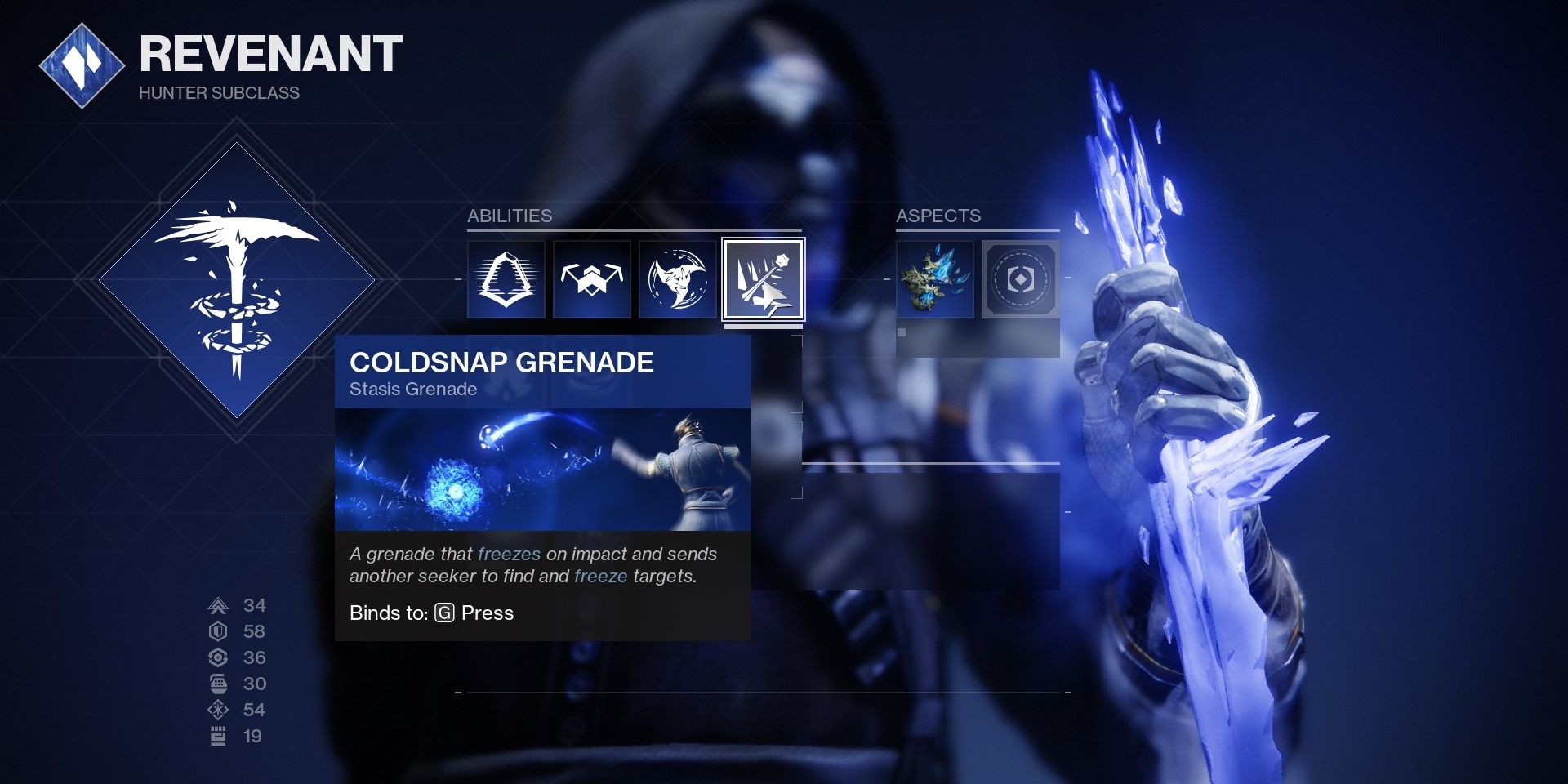 Destiny 2 Coldsnap Grenade